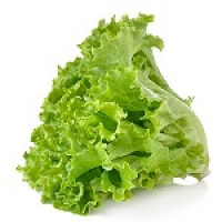 Lettuce - Green